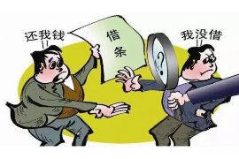 徐州为什么选择专业追讨公司来处理您的债务纠纷？